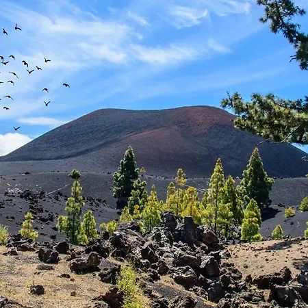 Daire A San Jose De Llanos