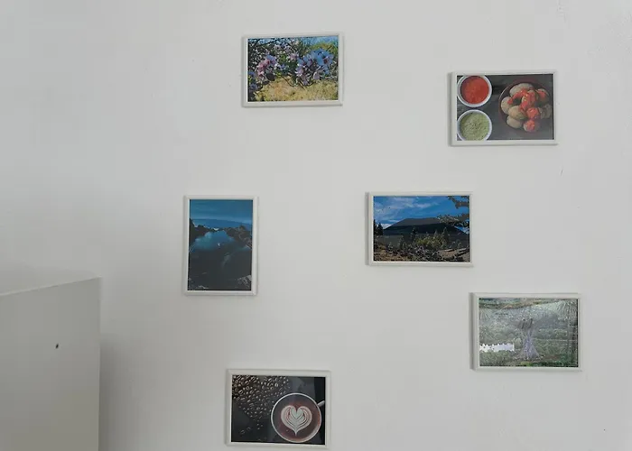 A San Jose De Llanos * San Jose De Los Llanos