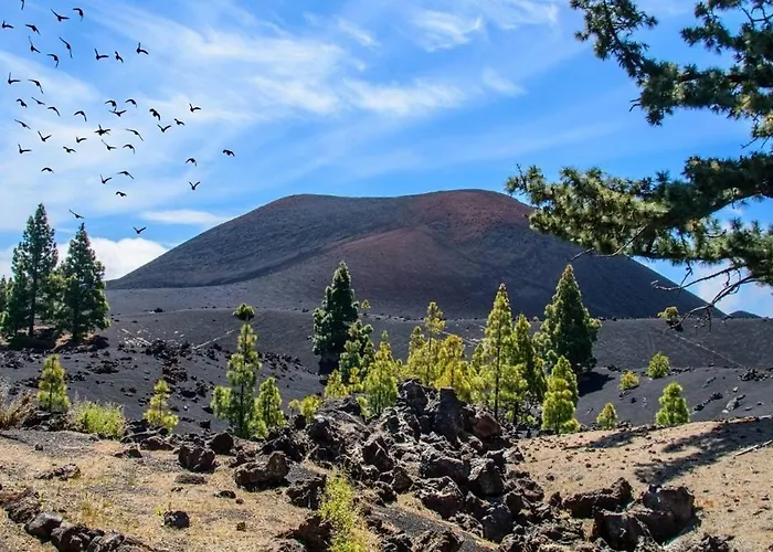 아파트 A San Jose De Llanos